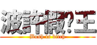 波許假摔王 (Bosh is bitch)