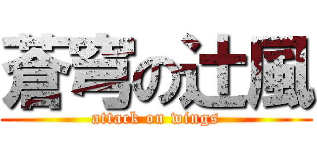 蒼穹の辻風 (attack on wings)