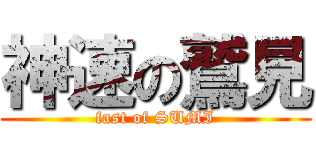 神速の鷲見 (fast of SUMI)