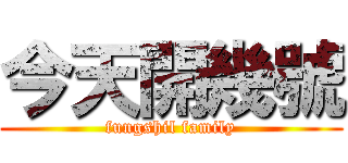 今天開幾號 (fungshil family)