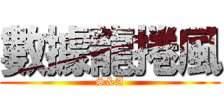 數據龍捲風 (S&A)