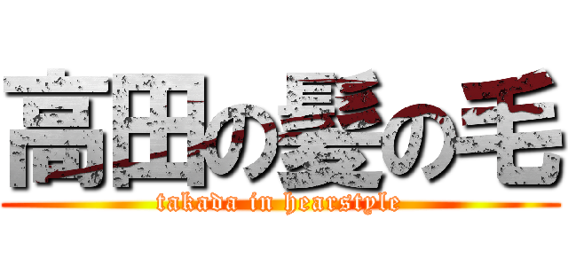 高田の髪の毛 (takada in hearstyle)