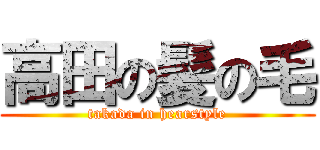 高田の髪の毛 (takada in hearstyle)