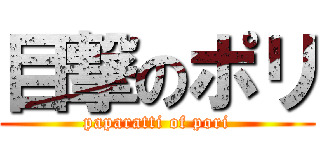 目撃のポリ (paparatti of pori)