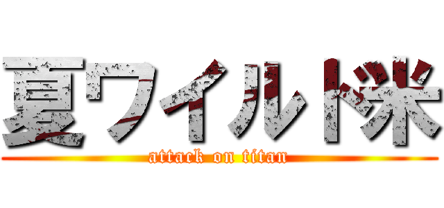 夏ワイルド米 (attack on titan)
