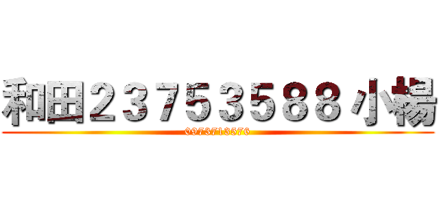 和田２３７５３５８８ 小楊 (0973713576)