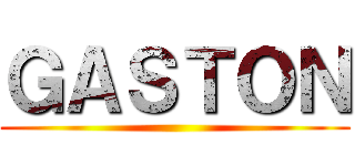 ＧＡＳＴＯＮ ()