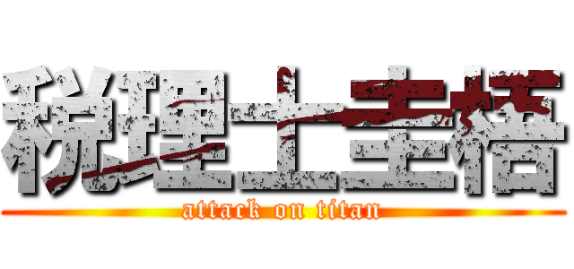 税理士圭梧 (attack on titan)