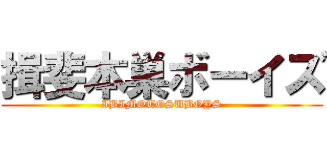 揖斐本巣ボーイズ (IBIMOTOSUBOYS)