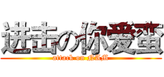 进击の你爱蛮 (attack on NAM)