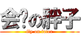 会飞の胖子 (fly on fater)