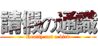 請假の通識 (Really not a bird)