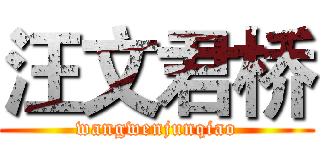 汪文君桥 (wangwenjunqiao)