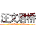 汪文君桥 (wangwenjunqiao)