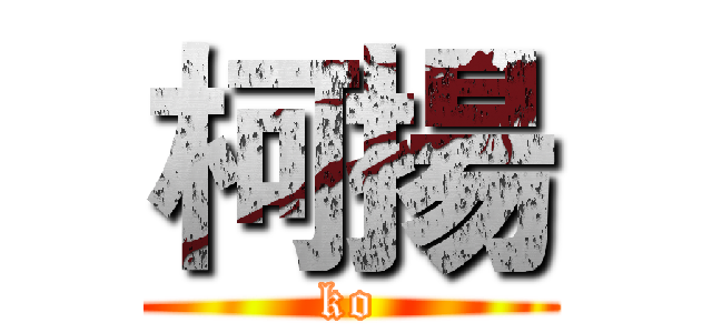 柯揚 (ko)
