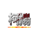 柯揚 (ko)