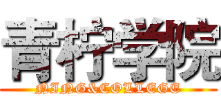 青柠学院 (NING&COLLEGE)