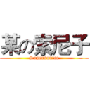 某の索尼子 (Supersonico)