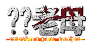 屌你老母 (attack on your mother)