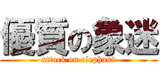 優質の象迷 (attack on elephant)
