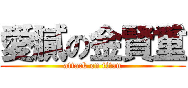 愛膩の金賢重 (attack on titan)