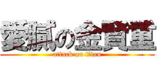 愛膩の金賢重 (attack on titan)