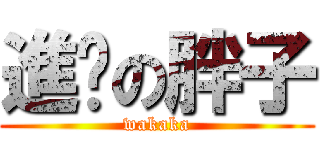 進擊の胖子 (wakaka)