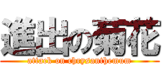 進出の菊花 (attack on chrysanthemum)