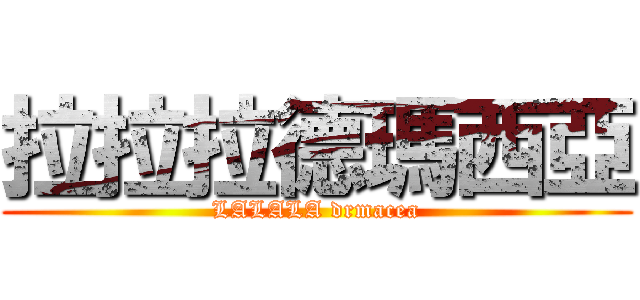 拉拉拉德瑪西亞 (LALALA drmacea)