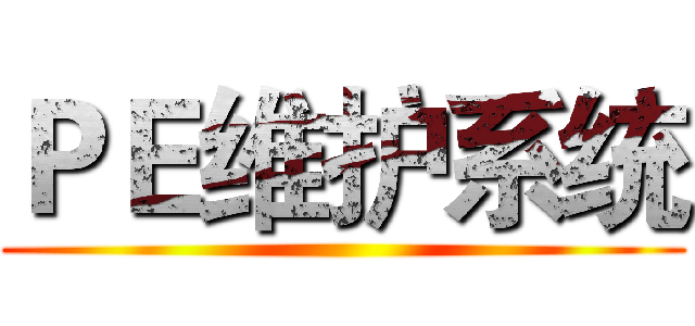 ＰＥ维护系统 ()