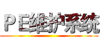 ＰＥ维护系统 ()