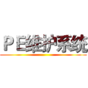 ＰＥ维护系统 ()