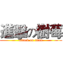 進擊の樹莓 (attack on titan)