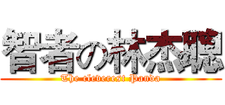 智者の林杰聰 (The cleverest Panda)