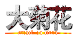 大菊花 (attack on titan)
