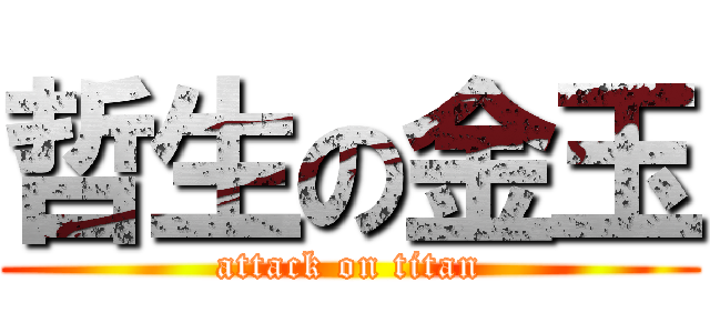 哲生の金玉 (attack on titan)