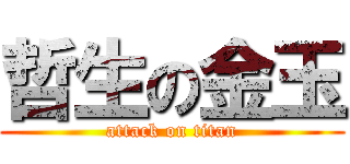 哲生の金玉 (attack on titan)