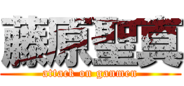 藤原聖真 (attack on ganmen)