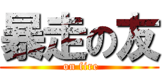 暴走の友 ( on fire)