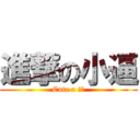 進撃の小逼 (Cute a 小逼)