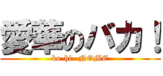 愛華のバカ！ (ko-hi- NOME)