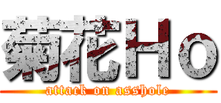 菊花Ｈｏ (attack on asshole)