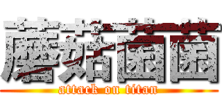 蘑菇菌菌 (attack on titan)