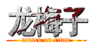 龙梅子 (attack on titan)