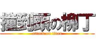 撞到頭の柳丁 (attack on titan)