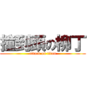 撞到頭の柳丁 (attack on titan)