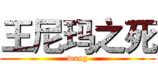 王尼玛之死 (wang)