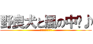 野良犬と風の中〜♪ (雅奈子はバッチグー)