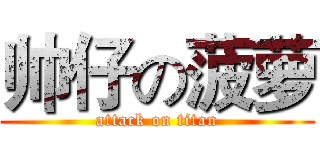 帅仔の菠萝 (attack on titan)