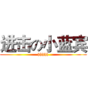 进击の小蓝宾 (hhhhh)